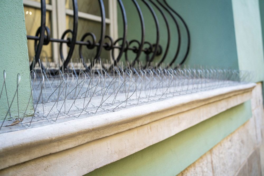 A Close Up Of A Window With Spikes On It — ASAP Pest Control in Brisbane South, QLD