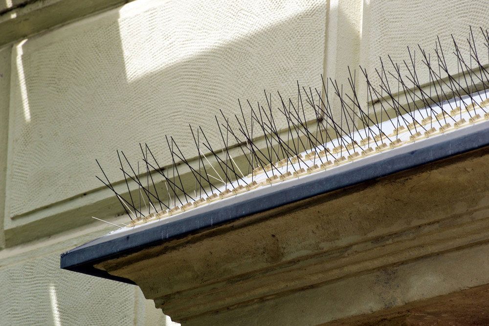 A Row Of Spikes On The Side Of A Building — ASAP Pest Control in Ipswich, QLD