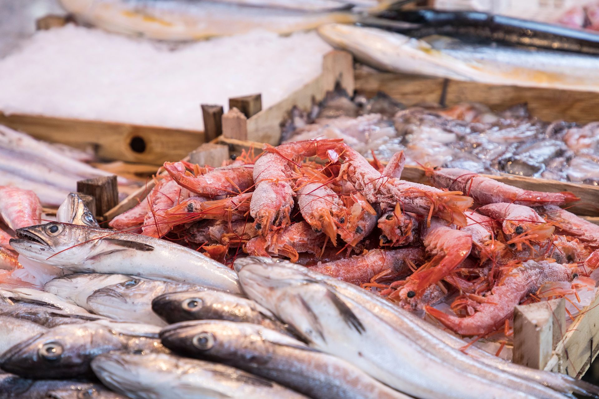 Pesce fresco e gamberi rossi esposti sul ghiaccio in una bancarella del mercato.