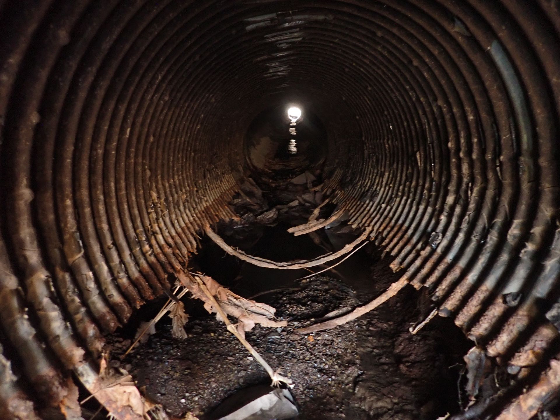 Typical corrugated metal pipe (CMP) condition