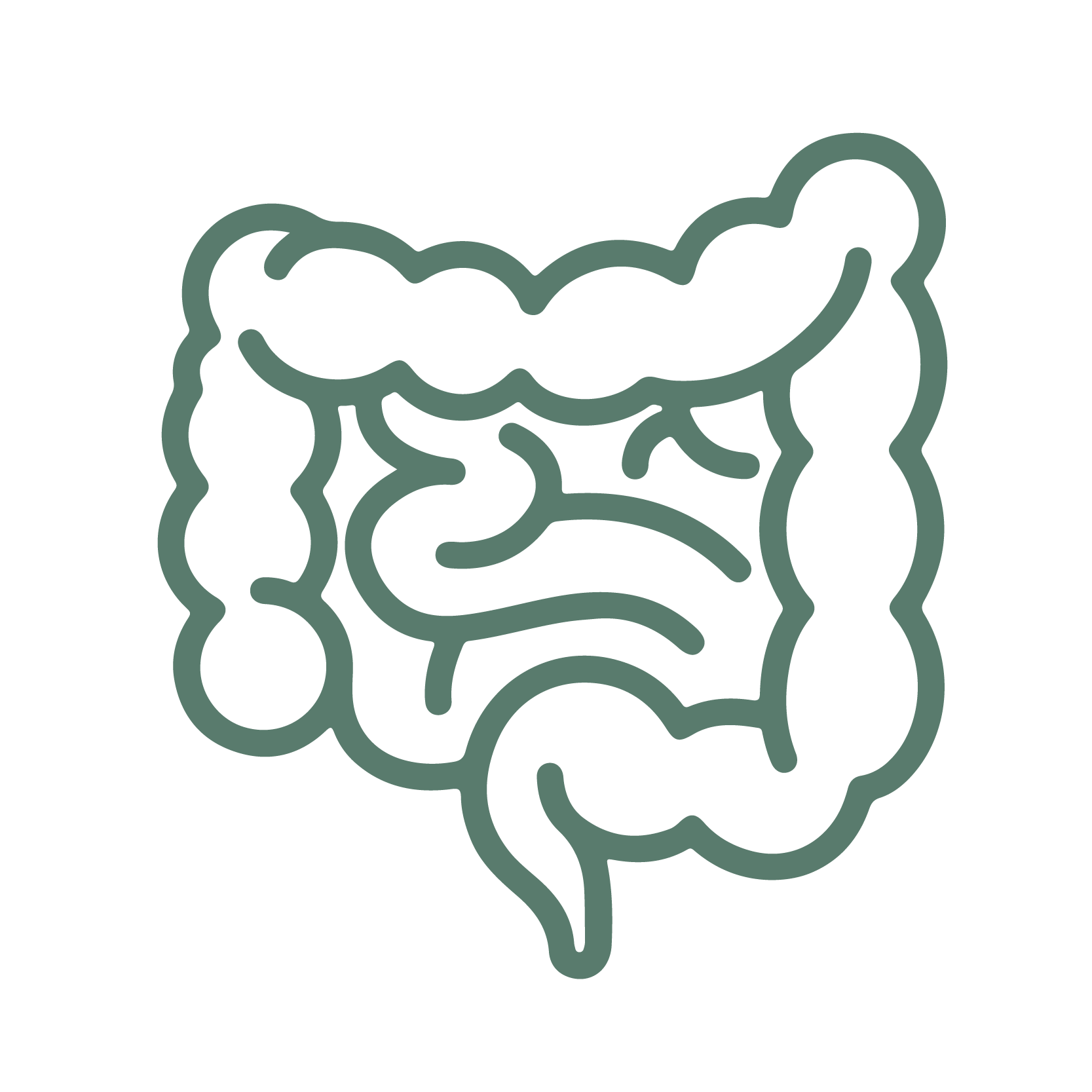 Orthomoleculaire begeleiding voor darmgezondheid en een gezond microbioom.