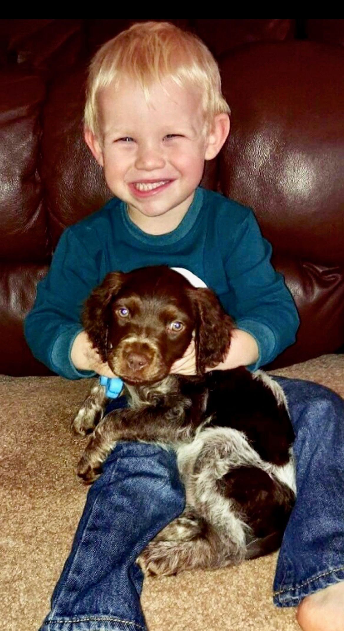 Blond child smiles, holding brown and white puppy on lap, seated on brown sofa.