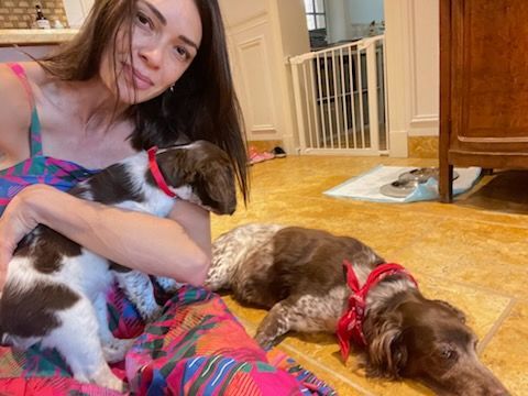 Woman holding a puppy, another dog lying down on floor. Dogs wear red collars. Indoors.