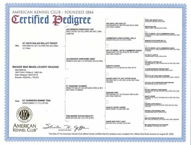 AKC certified pedigree for a dog, listing ancestors and lineage details.
