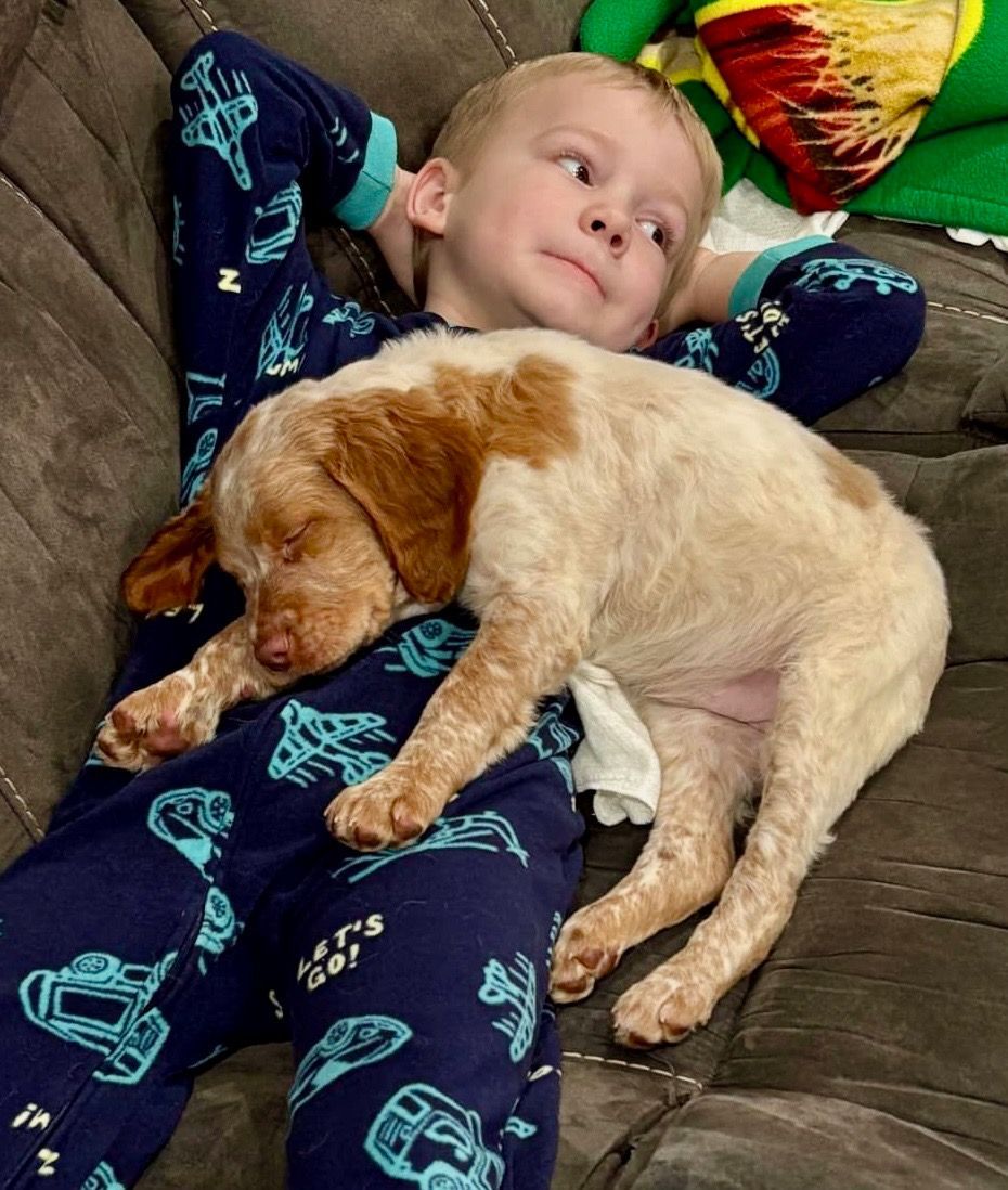 Boy in blue pajamas relaxes with a small, sleeping dog on a couch. The dog is white with brown patches.