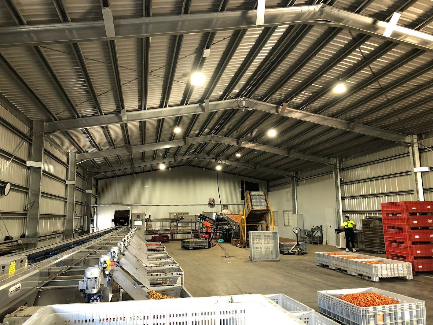 Interior of a warehouse with a metal roof and walls, equipment, and a person loading produce bins.