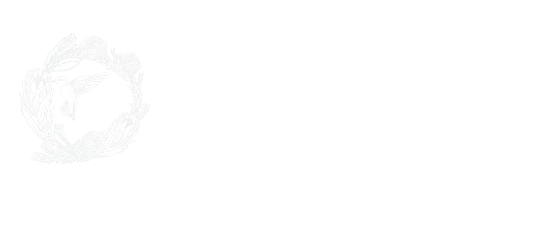 A white background with a few lines on it