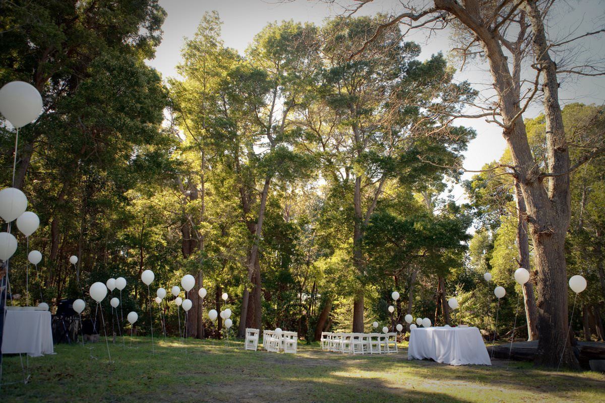A lush green forest with white balloons hanging from the trees