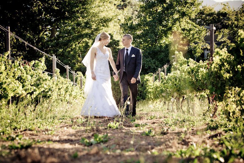 A bride and groom are walking through a vineyard holding hands.