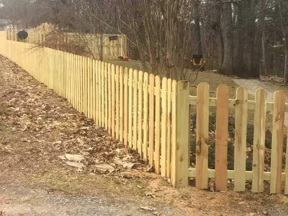 Long yellow wooden fence along a dirt path beside leafless trees in a wooded area