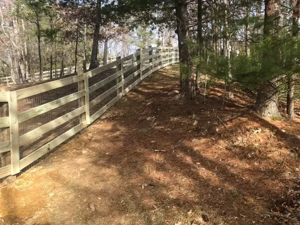 Wooden fence along a sunlit dirt path in a wooded area