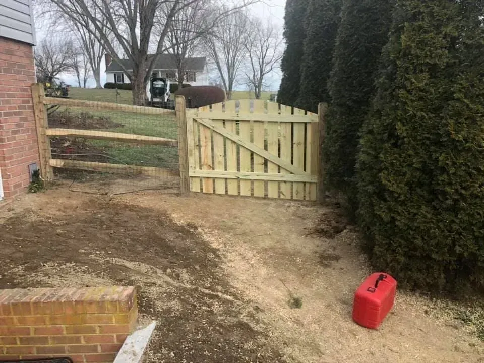 Unpaved yard with a wooden gate beside a brick wall, tall evergreens, and a red gas can on the ground.