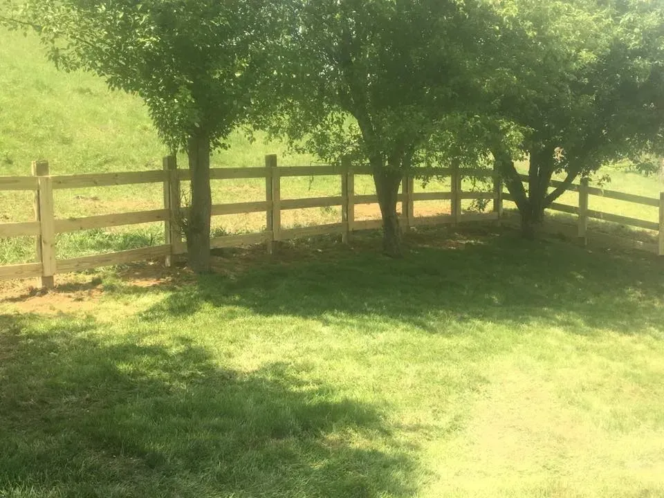 Sunlit grassy yard with a wooden fence and trees casting shade