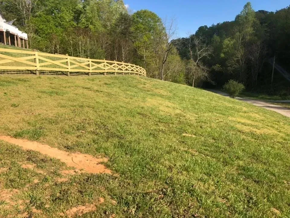 Grassy hillside with a white fence beside a dirt road, bordered by trees under clear blue sky