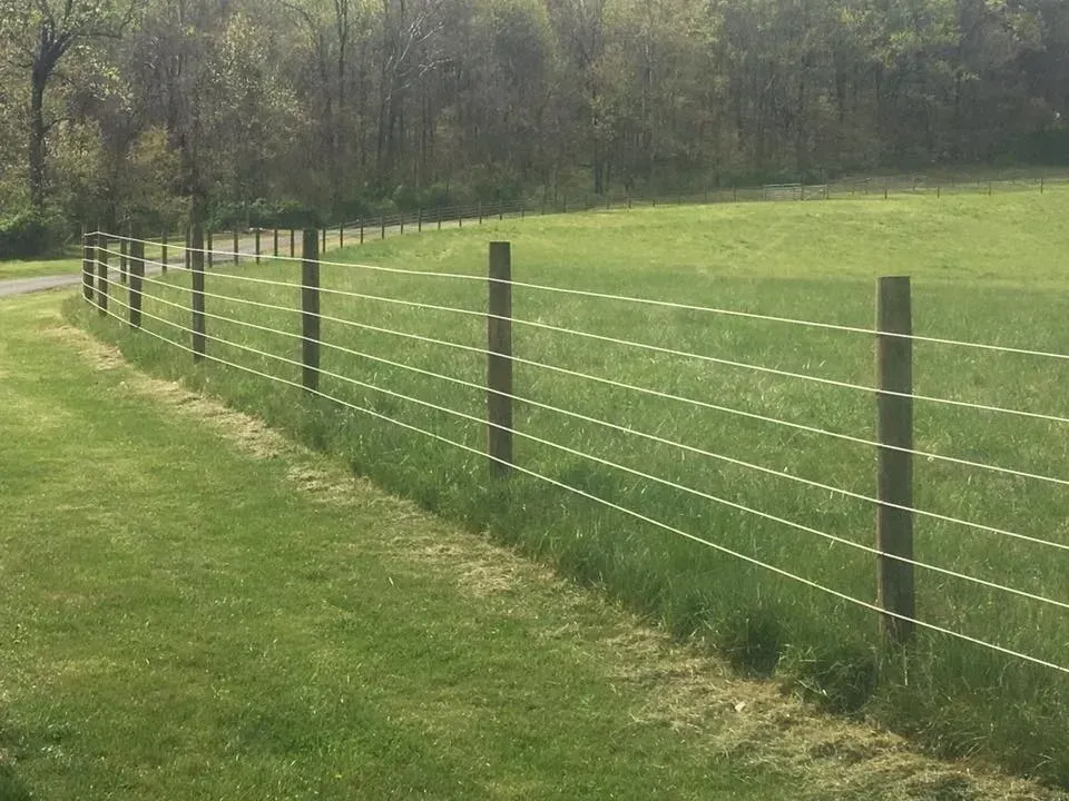 Wire fence beside a grassy field with trees in the background