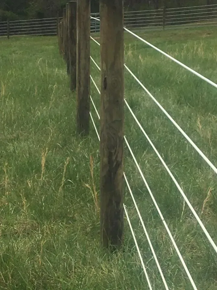 Wooden fence posts with white wire fencing in a grassy field