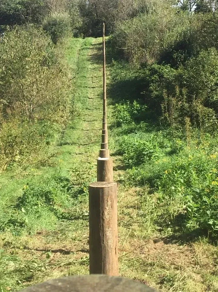 A narrow footbridge of logs and poles stretches across dense green vegetation.