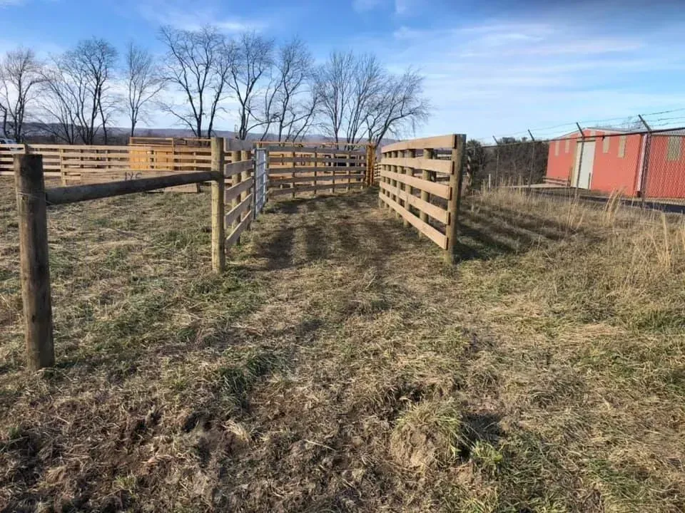 Wooden livestock pen in a grassy field, with leafless trees and red barns in the background.