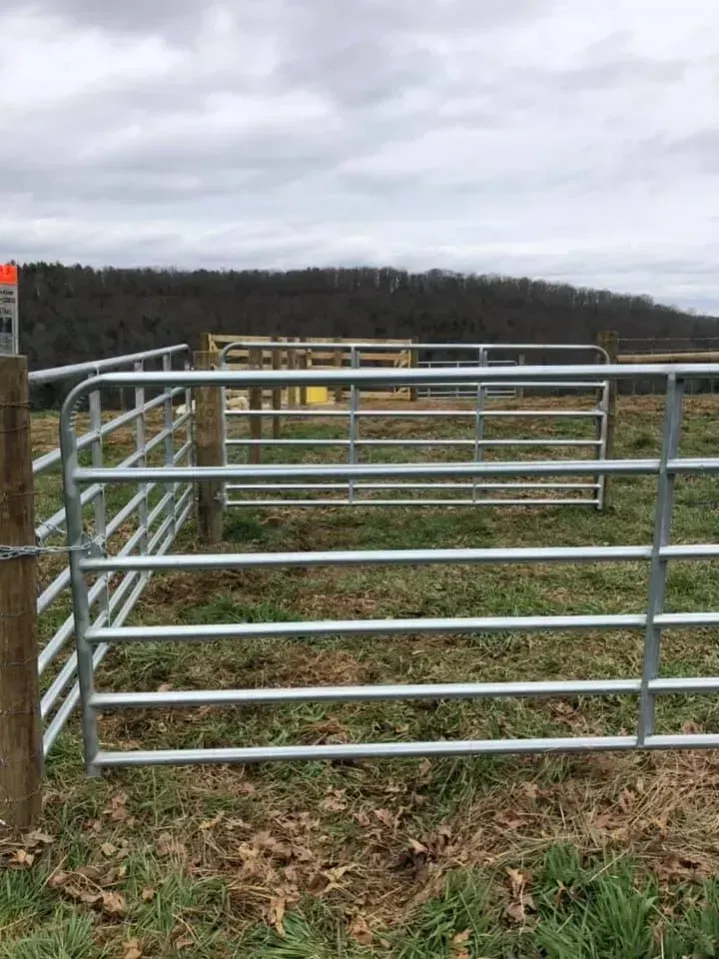 Metal farm gate in a grassy field with cloudy sky and distant trees
