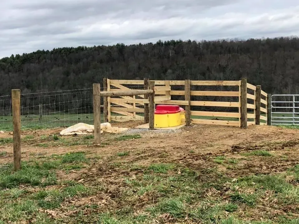 Wooden cattle pen with red-and-yellow barrel in a grassy field, backed by a wooded hillside.