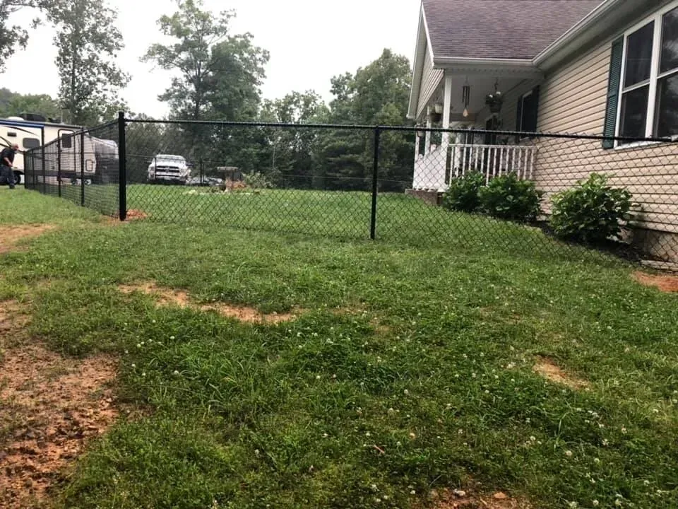 Backyard with green grass, chain-link fence, and a house with white siding and black shutters.