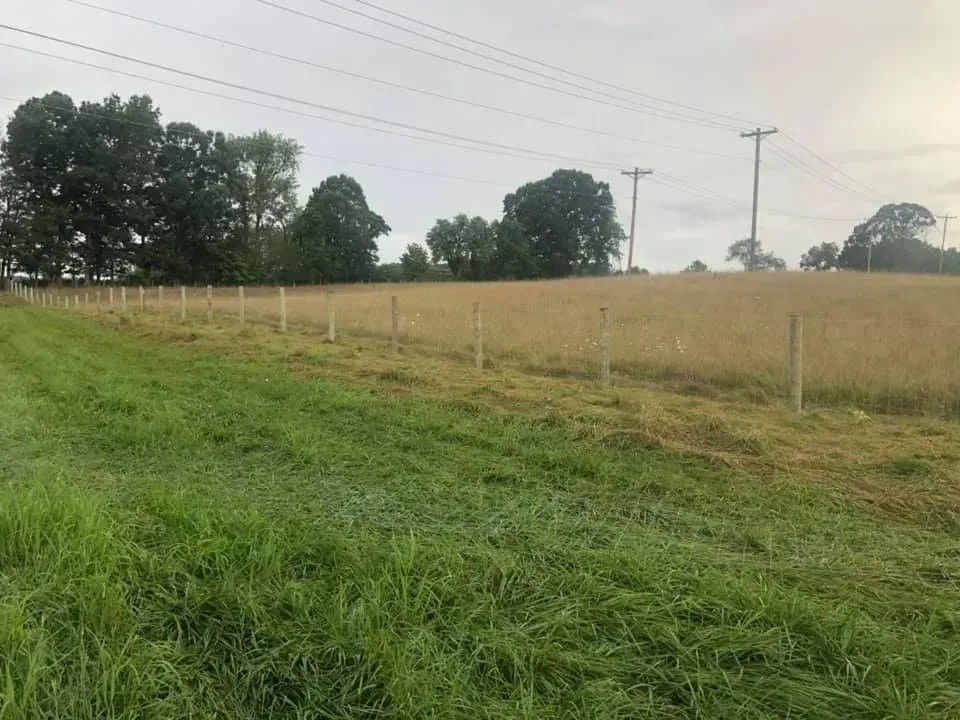 Grassy field with fence posts and trees under a cloudy sky
