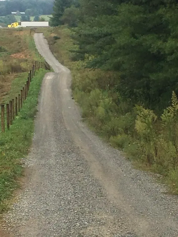Gravel country road curving through green trees and fields on a cloudy day