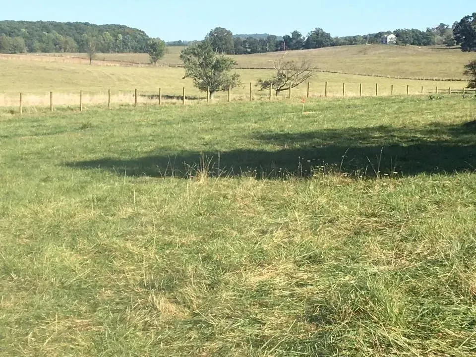 Sunny grassy field with fence lines and trees in the distance under a clear sky