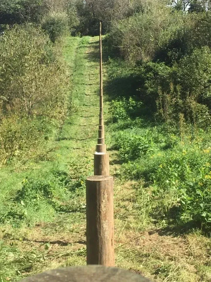 A narrow metal pipe rises from a wooden post in a green, wooded outdoor area.