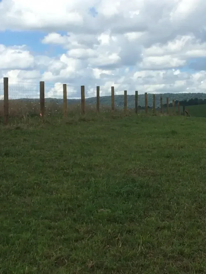 Grassy field beside a wire fence under a cloudy sky