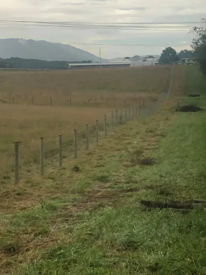 Grassy field with a wire fence, distant hills, and a hazy cloudy sky