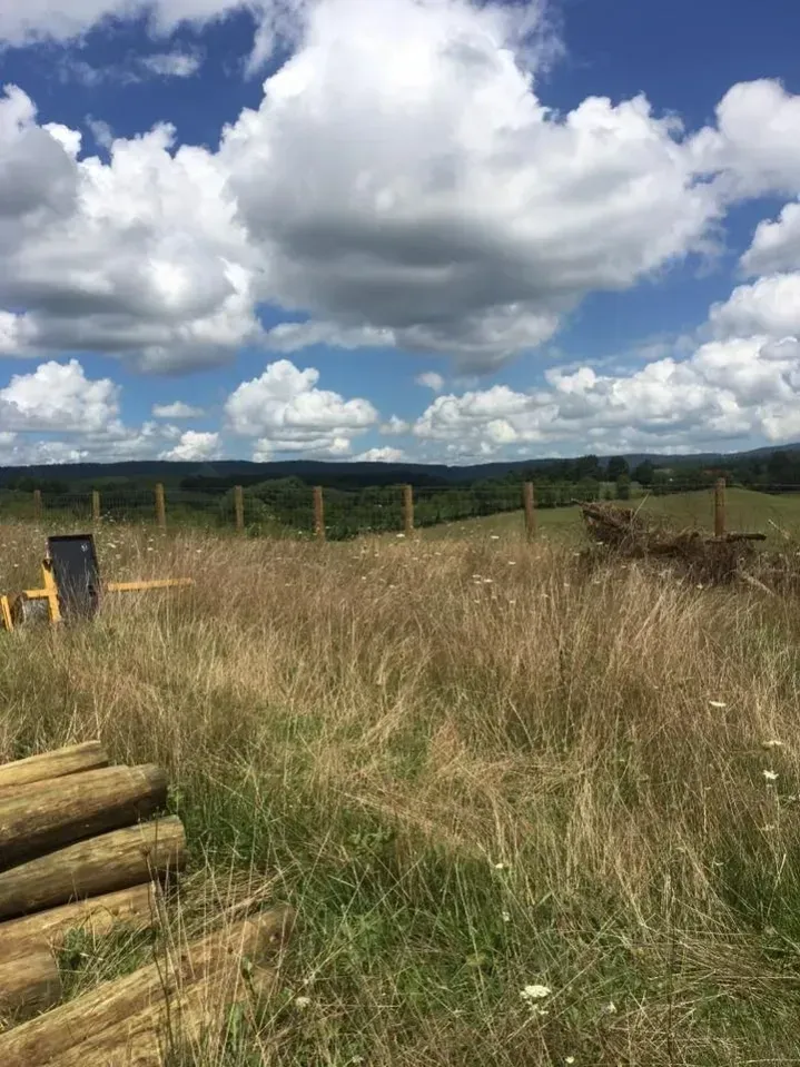 Grassy field with fence posts under a bright blue sky with large white clouds