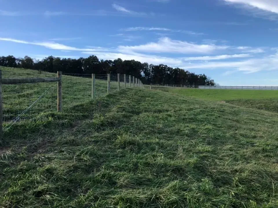 Grassy field beside a wooden fence under a blue sky with clouds