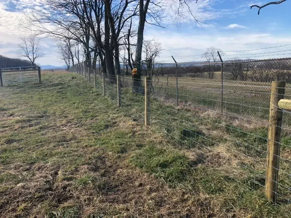 Rural fenced field with leafless trees and a dirt path under a partly cloudy sky