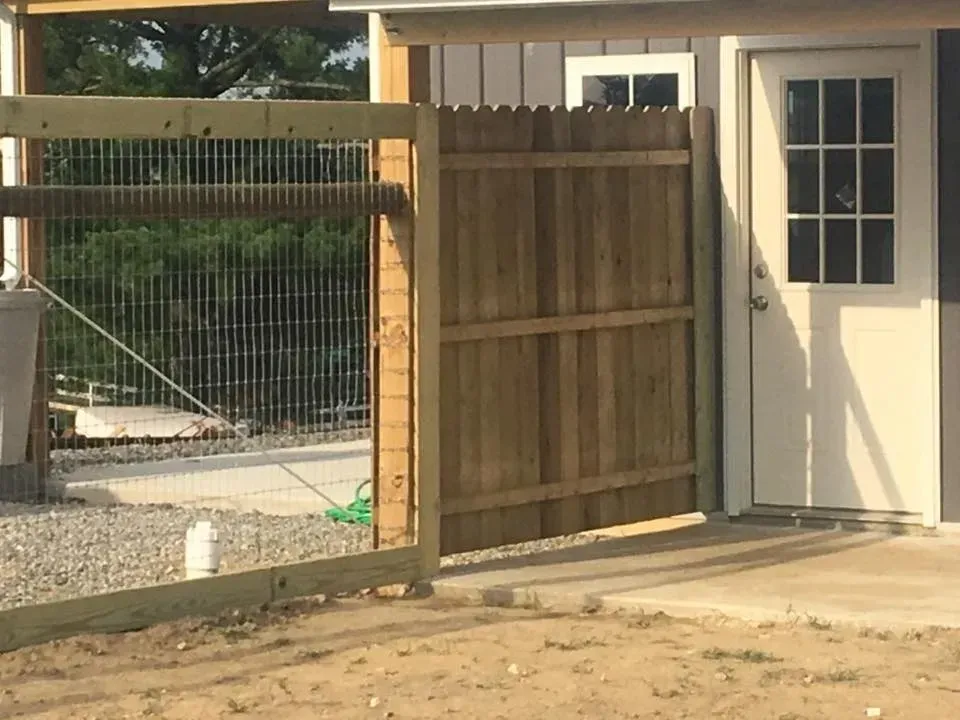 Wooden fence gate beside a cream-colored shed door in a backyard.