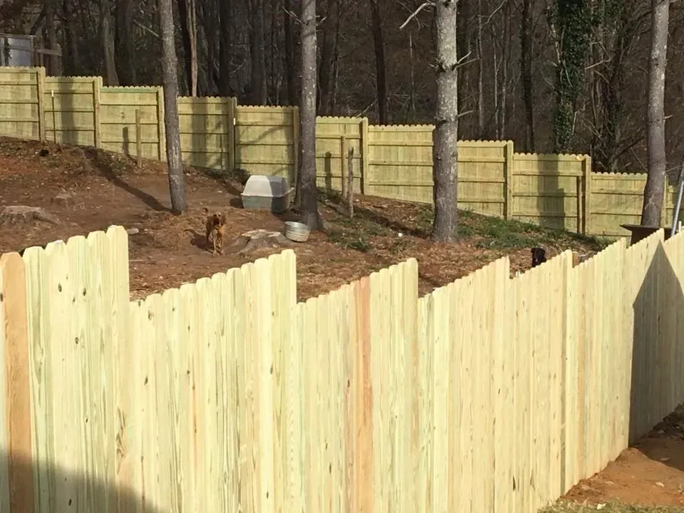 Light wood privacy fence enclosing a wooded yard with tall trees and dirt ground