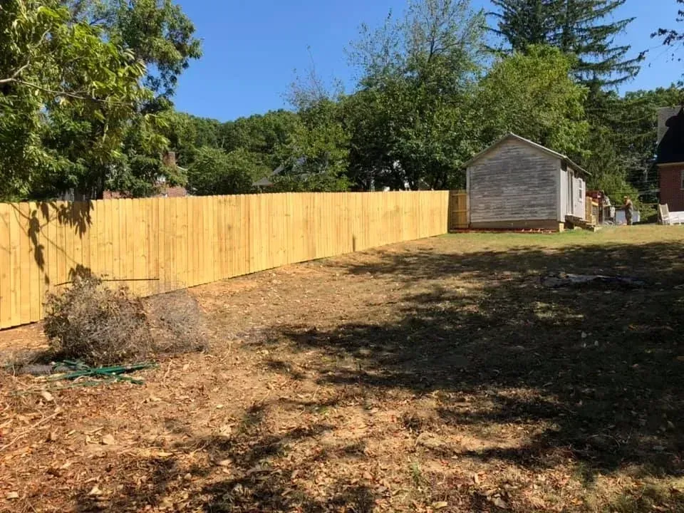 Backyard with a long wooden fence, trees, and a small shed in sunlight.
