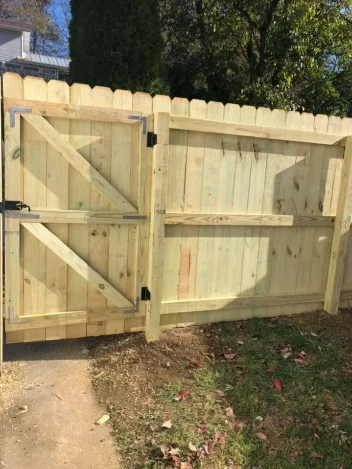 Light wooden backyard gate with diagonal braces and metal latch in a fenced yard.