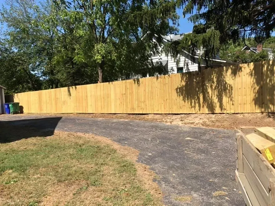 Backyard with a curved asphalt path, dry grass, and a tall wooden fence under trees