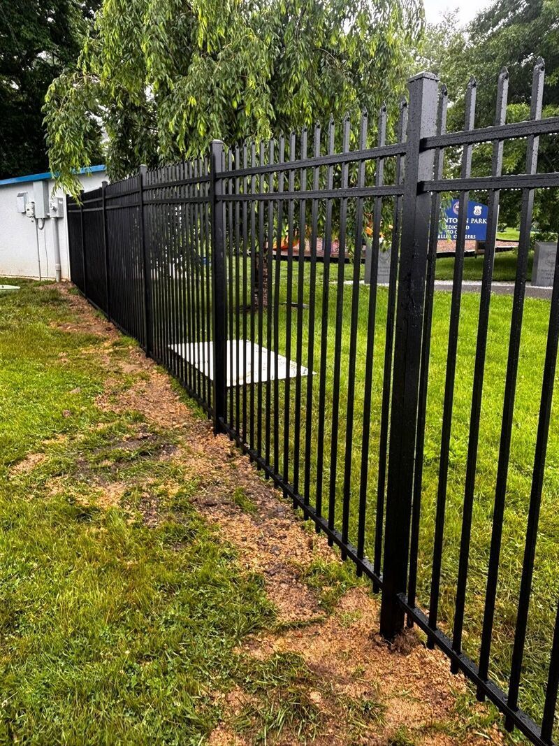 Black metal fence beside a grassy path and trees on a sunny day