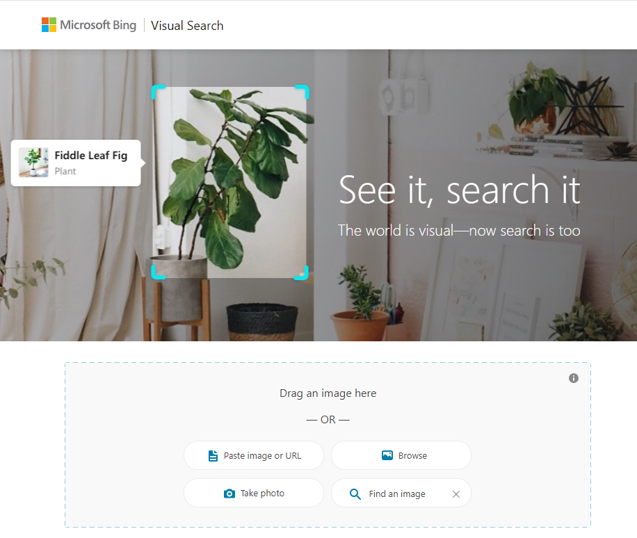 Bing Visual Search 