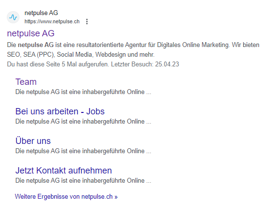 Die Grafik zeigt die Metabeschreibung der Website der netpulse AG