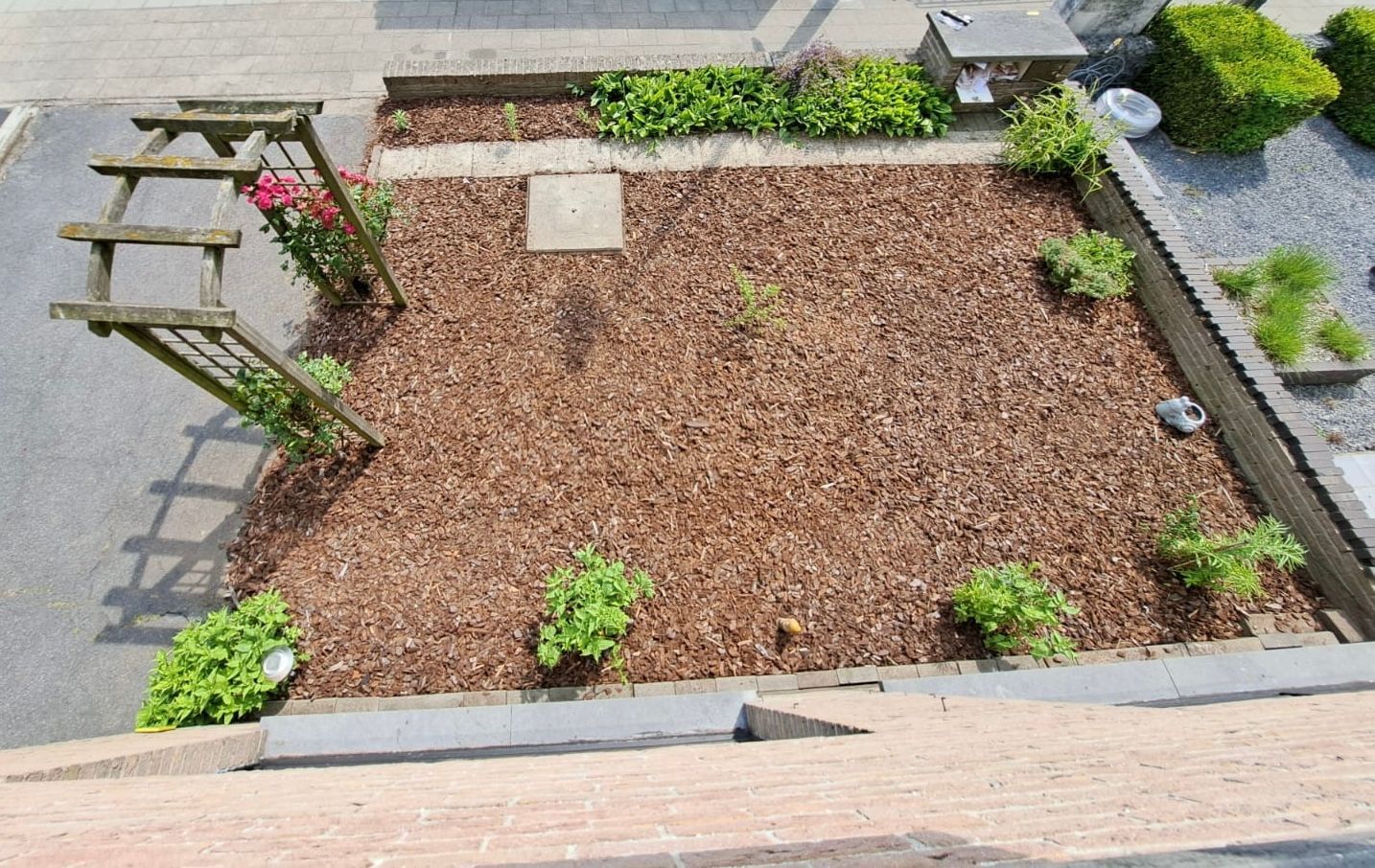 Gerenoveerde tuin