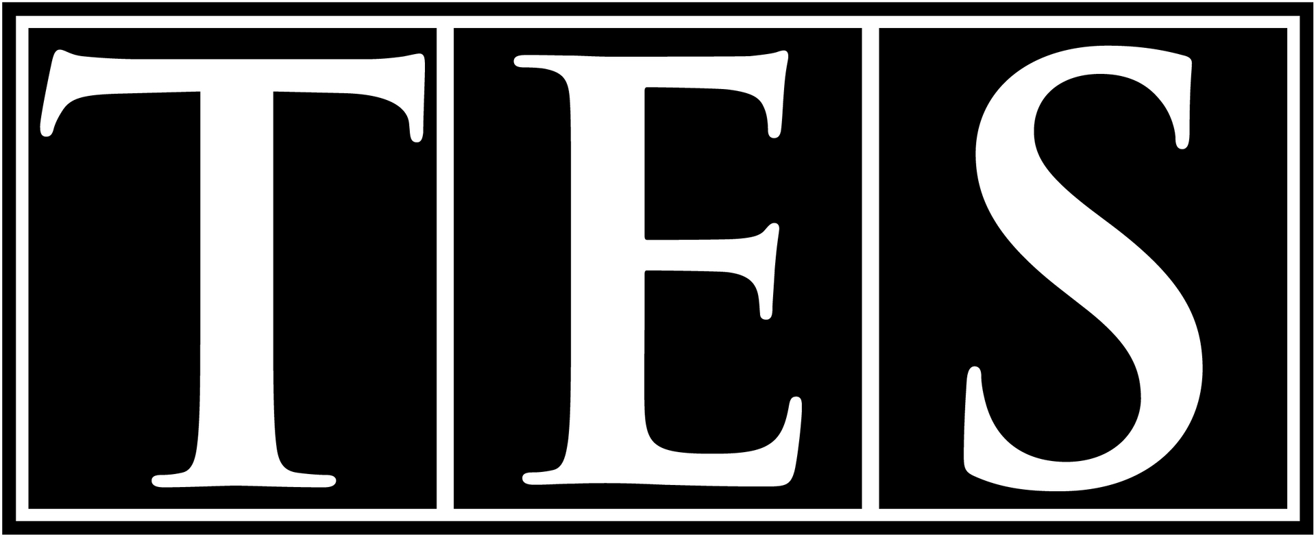 TES logo