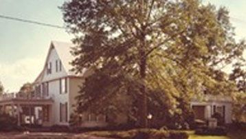 A large white house with a large tree in front of it.
