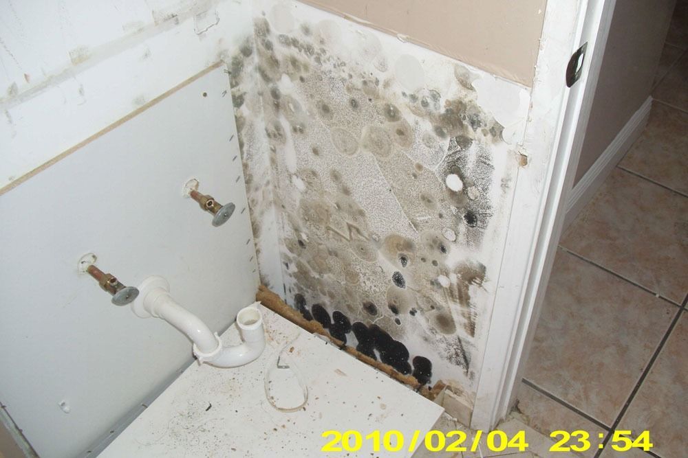 Uncovering Hidden Mold