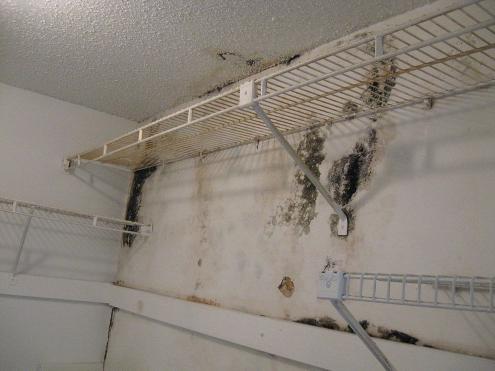 Water And Mold Restoration