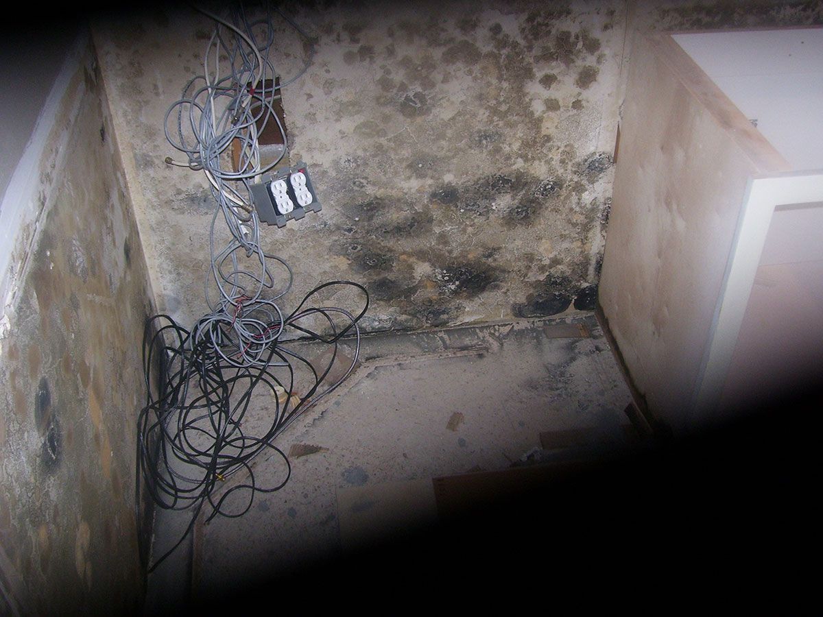 6 Common Reasons You Have Mold in Your Home