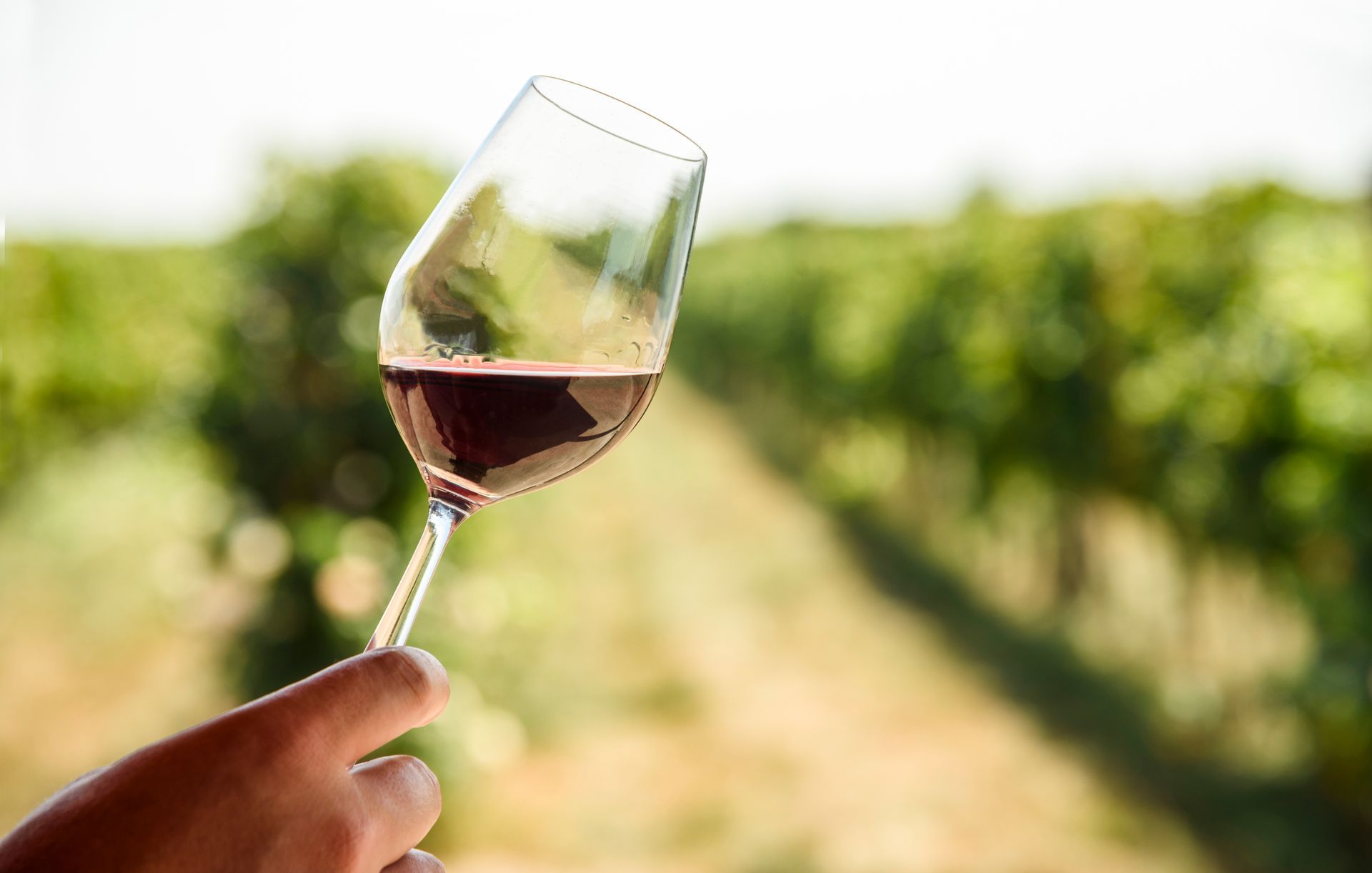 tour enogastronomici