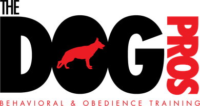The Dog Pros Behavioral and Obedience Training in Mooresville NC